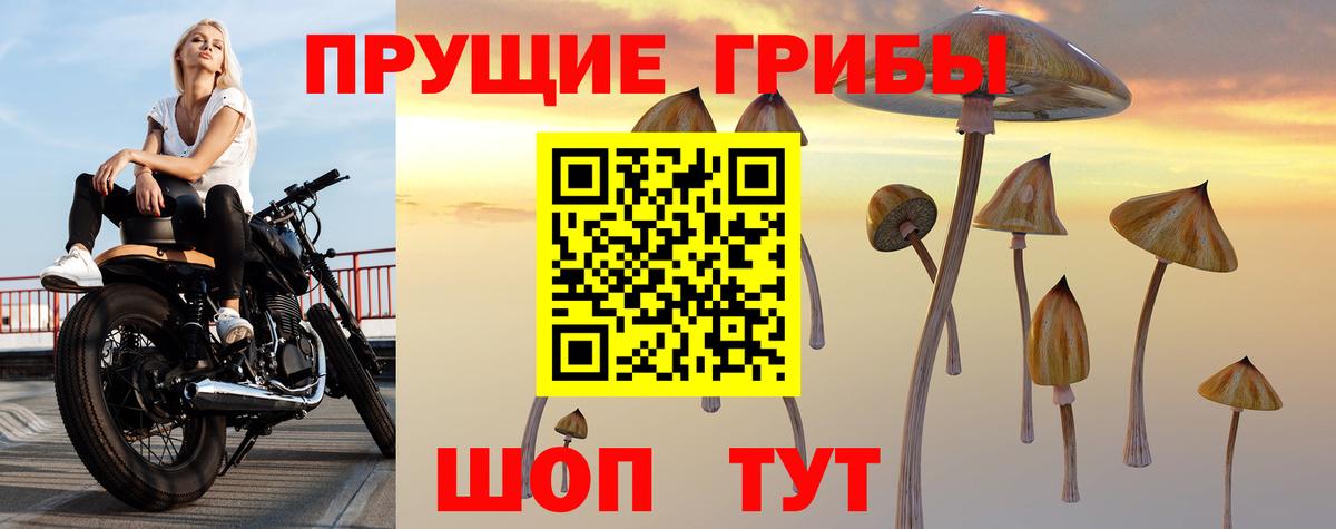 Галлюциногенные грибы Psilocybine cubensis Владикавказ