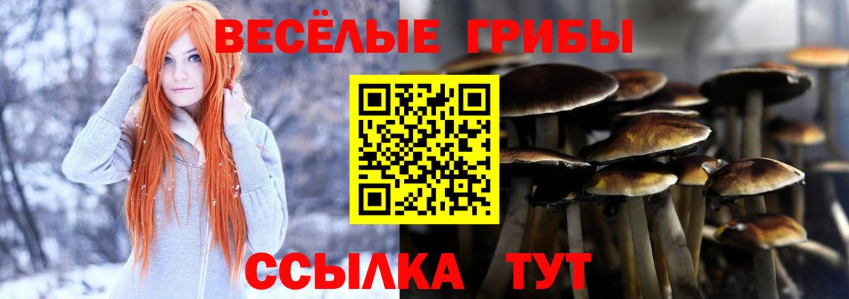 Владикавказ  дарнет шоп  Вход с VPN  Галлюциногенные грибы мицелий 